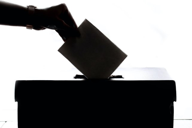 Referendum Abrogativi di domenica 8 e lunedì 9 giugno 2025: Fac-simile schede referendarie